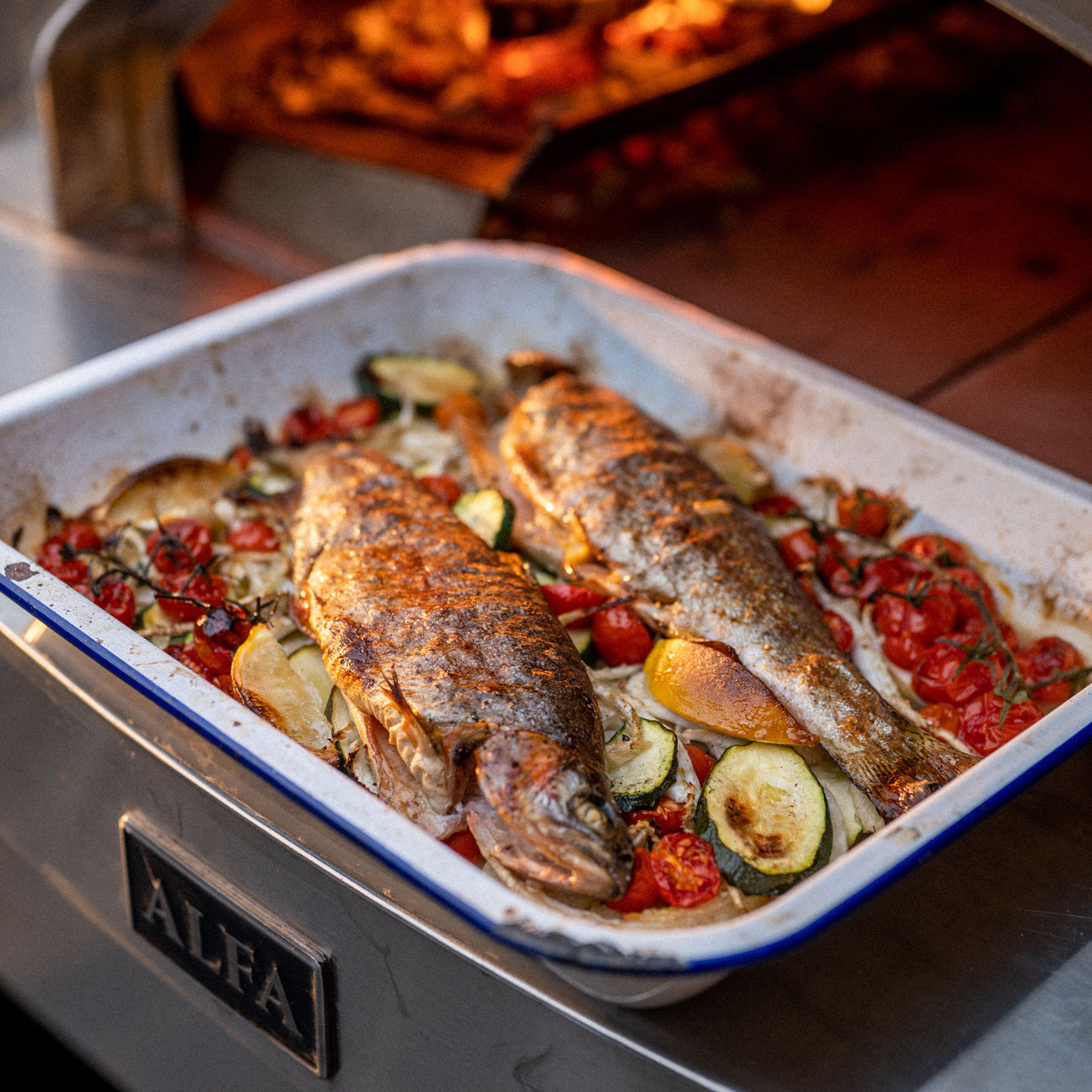 Roasted rainbow trout in a tray sitting on the front of an alfa oven.